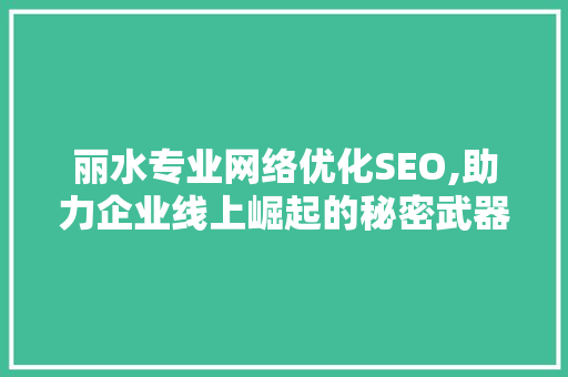 丽水专业网络优化SEO,助力企业线上崛起的秘密武器