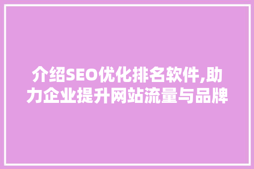 介绍SEO优化排名软件,助力企业提升网站流量与品牌影响力