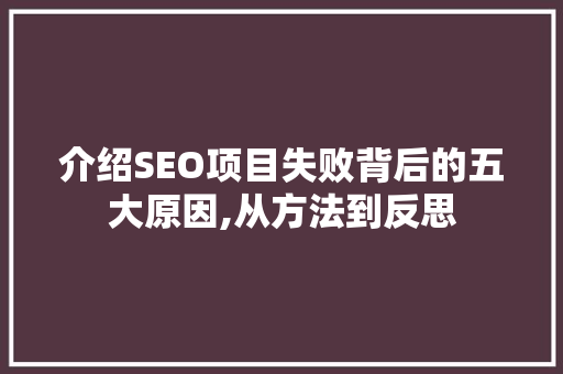 介绍SEO项目失败背后的五大原因,从方法到反思
