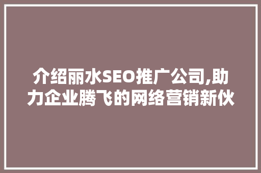 介绍丽水SEO推广公司,助力企业腾飞的网络营销新伙伴