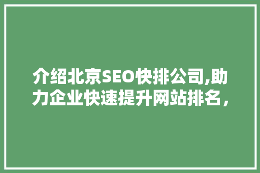 介绍北京SEO快排公司,助力企业快速提升网站排名，抢占市场先机