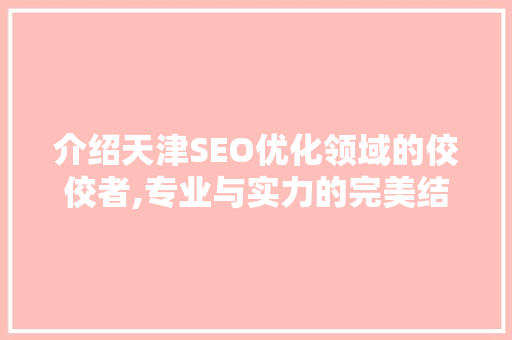 介绍天津SEO优化领域的佼佼者,专业与实力的完美结合  第1张