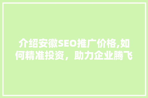介绍安徽SEO推广价格,如何精准投资，助力企业腾飞