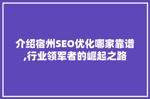 介绍宿州SEO优化哪家靠谱,行业领军者的崛起之路