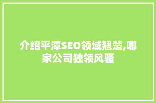 介绍平潭SEO领域翘楚,哪家公司独领风骚