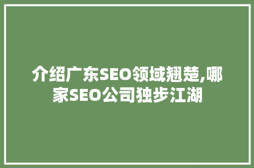 介绍广东SEO领域翘楚,哪家SEO公司独步江湖