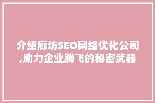 介绍廊坊SEO网络优化公司,助力企业腾飞的秘密武器