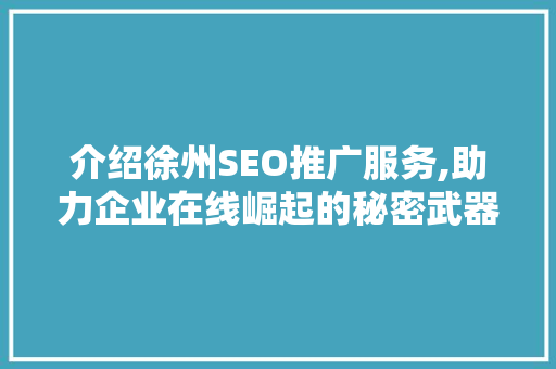 介绍徐州SEO推广服务,助力企业在线崛起的秘密武器