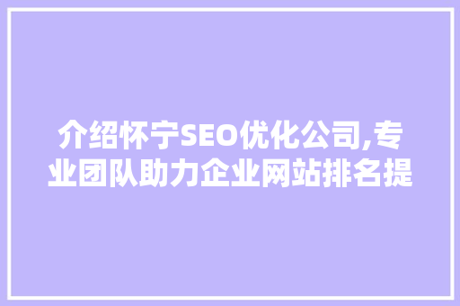 介绍怀宁SEO优化公司,专业团队助力企业网站排名提升