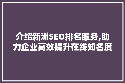介绍新洲SEO排名服务,助力企业高效提升在线知名度