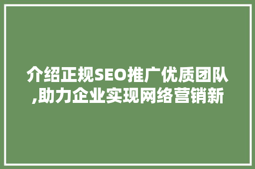 介绍正规SEO推广优质团队,助力企业实现网络营销新高度