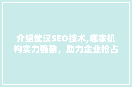 介绍武汉SEO技术,哪家机构实力强劲，助力企业抢占市场先机