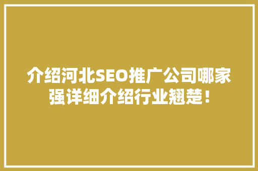 介绍河北SEO推广公司哪家强详细介绍行业翘楚！