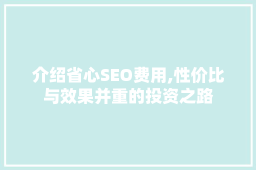 介绍省心SEO费用,性价比与效果并重的投资之路