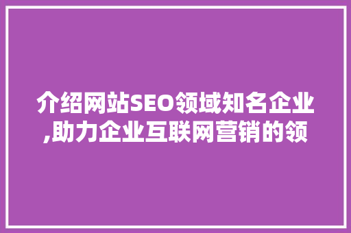 介绍网站SEO领域知名企业,助力企业互联网营销的领航者