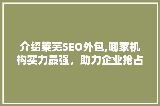 介绍莱芜SEO外包,哪家机构实力最强，助力企业抢占市场先机