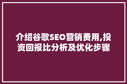 介绍谷歌SEO营销费用,投资回报比分析及优化步骤