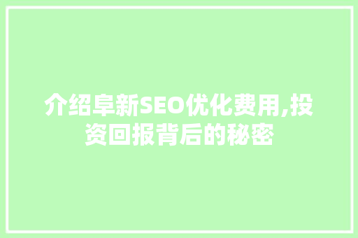 介绍阜新SEO优化费用,投资回报背后的秘密