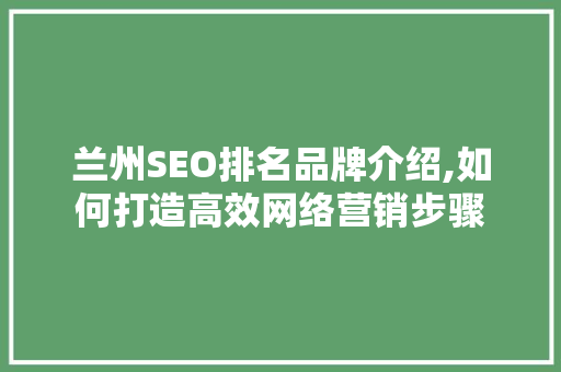 兰州SEO排名品牌介绍,如何打造高效网络营销步骤