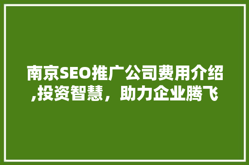 南京SEO推广公司费用介绍,投资智慧，助力企业腾飞  第1张
