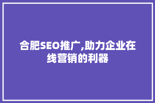 合肥SEO推广,助力企业在线营销的利器  第1张