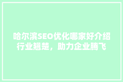 哈尔滨SEO优化哪家好介绍行业翘楚，助力企业腾飞