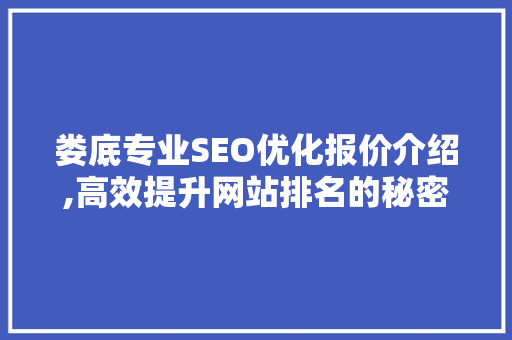 娄底专业SEO优化报价介绍,高效提升网站排名的秘密武器