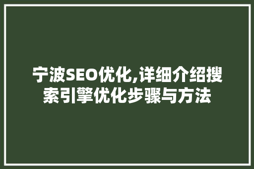 宁波SEO优化,详细介绍搜索引擎优化步骤与方法
