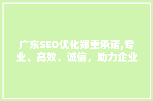 广东SEO优化郑重承诺,专业、高效、诚信，助力企业网络营销腾飞