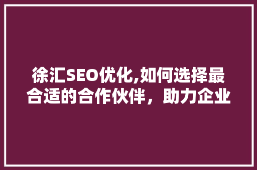 徐汇SEO优化,如何选择最合适的合作伙伴，助力企业腾飞