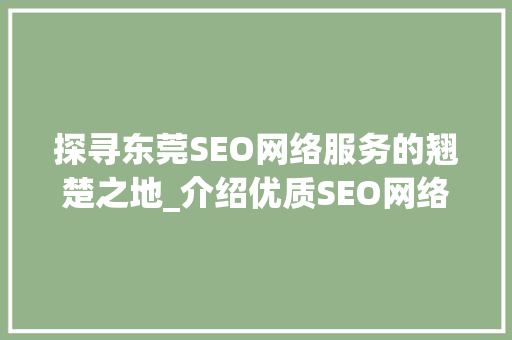 探寻东莞SEO网络服务的翘楚之地_介绍优质SEO网络解决方法