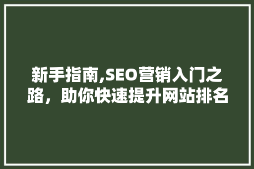 新手指南,SEO营销入门之路，助你快速提升网站排名