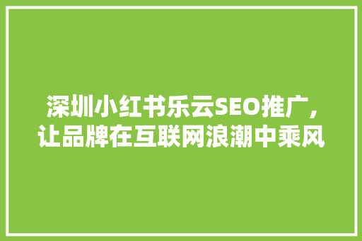 深圳小红书乐云SEO推广,让品牌在互联网浪潮中乘风破浪