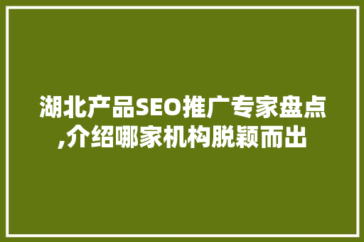 湖北产品SEO推广专家盘点,介绍哪家机构脱颖而出
