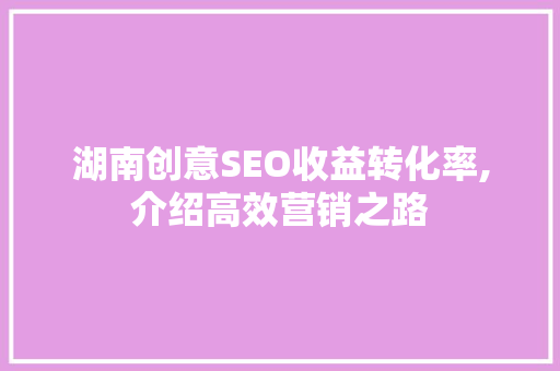 湖南创意SEO收益转化率,介绍高效营销之路