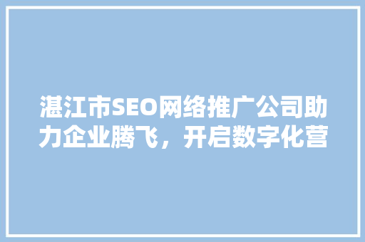 湛江市SEO网络推广公司助力企业腾飞，开启数字化营销新时代