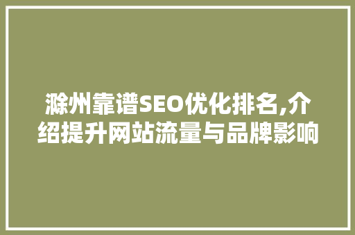 滁州靠谱SEO优化排名,介绍提升网站流量与品牌影响力的方法