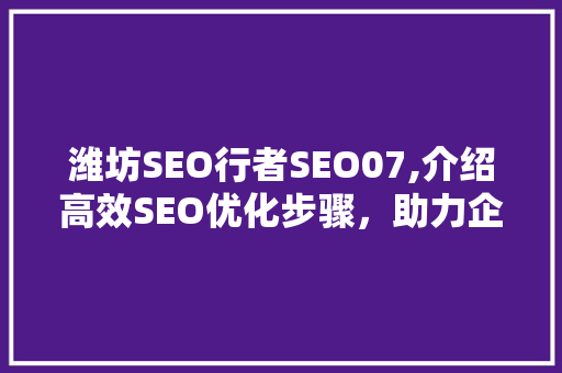 潍坊SEO行者SEO07,介绍高效SEO优化步骤，助力企业网站排名提升