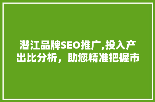 潜江品牌SEO推广,投入产出比分析，助您精准把握市场脉搏  第1张