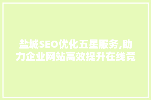 盐城SEO优化五星服务,助力企业网站高效提升在线竞争力