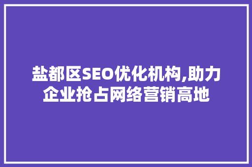 盐都区SEO优化机构,助力企业抢占网络营销高地  第1张