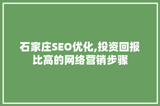 石家庄SEO优化,投资回报比高的网络营销步骤  第1张