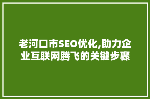 老河口市SEO优化,助力企业互联网腾飞的关键步骤