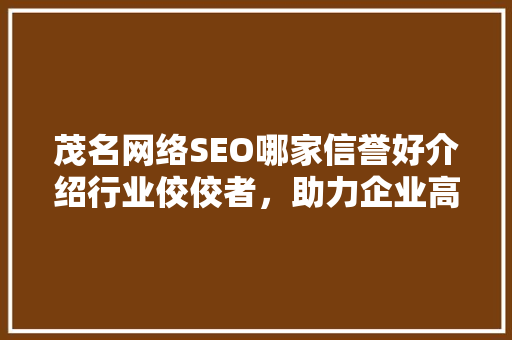 茂名网络SEO哪家信誉好介绍行业佼佼者，助力企业高效推广