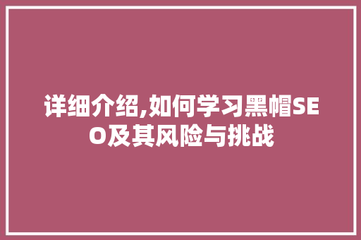 详细介绍,如何学习黑帽SEO及其风险与挑战