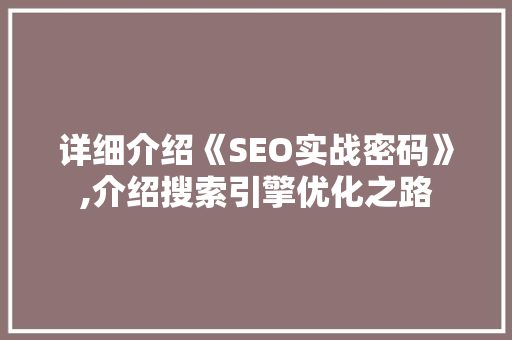 详细介绍《SEO实战密码》,介绍搜索引擎优化之路