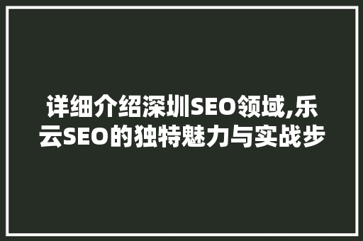 详细介绍深圳SEO领域,乐云SEO的独特魅力与实战步骤