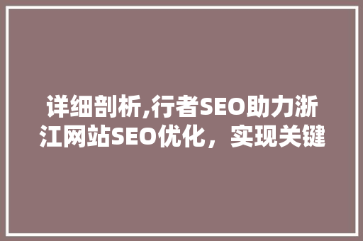详细剖析,行者SEO助力浙江网站SEO优化，实现关键词布局的完美艺术