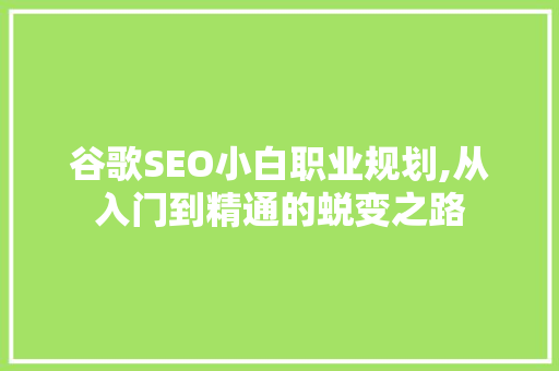 谷歌SEO小白职业规划,从入门到精通的蜕变之路