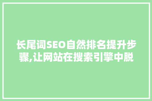 长尾词SEO自然排名提升步骤,让网站在搜索引擎中脱颖而出